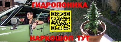 прущие крисы Коммунар
