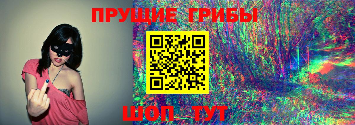 Галлюциногенные грибы Psilocybe  магазин продажи   Красноармейск  Вход с VPN  Галлюциногенные грибы Cubensis 